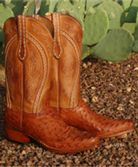 Men's Western Boots