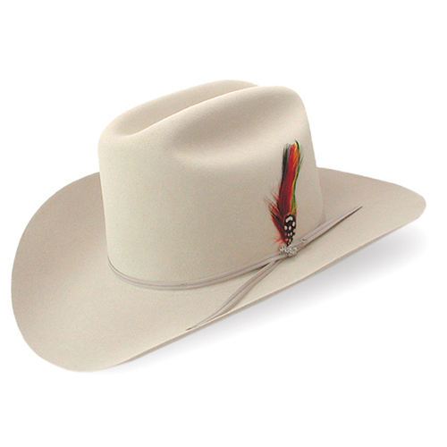 stetson rancher 6x
